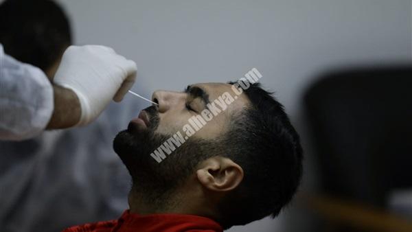 البوابة نيوز