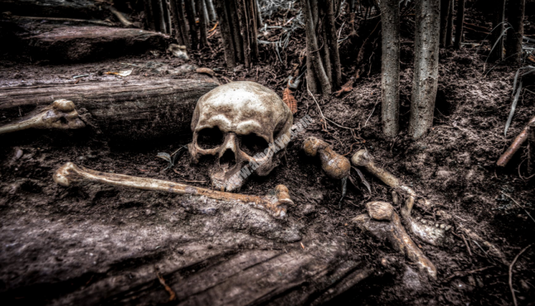 اكتشاف جمجمة غريبة ما قبل التاريخ قد تكون