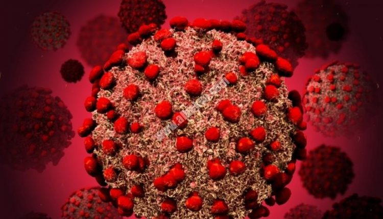 فيروس كورونا